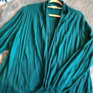 Catos sweater! Teal